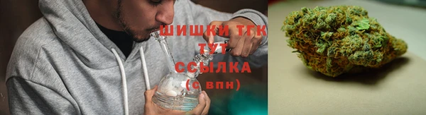 стафф Няндома