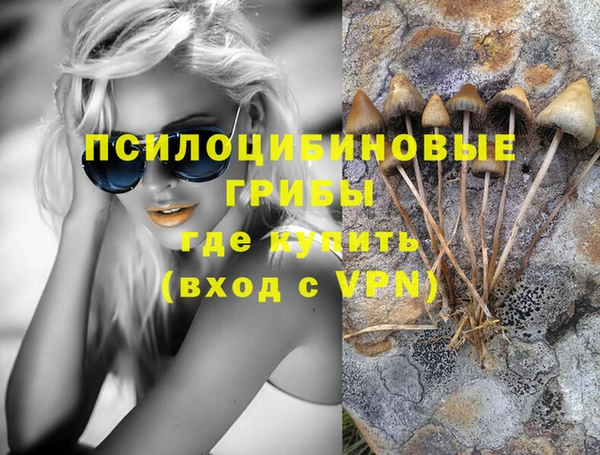 герыч Новозыбков